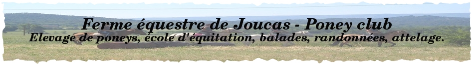 Ferme équestre de Joucas - Poney club